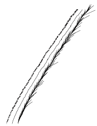 X Y graph showing a few things X Y graph showing a few things